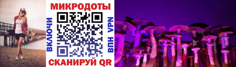 Псилоцибиновые грибы MAGIC MUSHROOMS  где можно купить наркотик  Южноуральск 